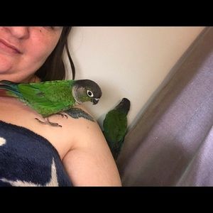 Meet your Posher, Maddie